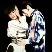 四叶成年人研究所入口含羞草